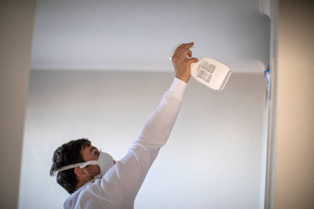 Best Black Mold Removal  in North Tustin, CA