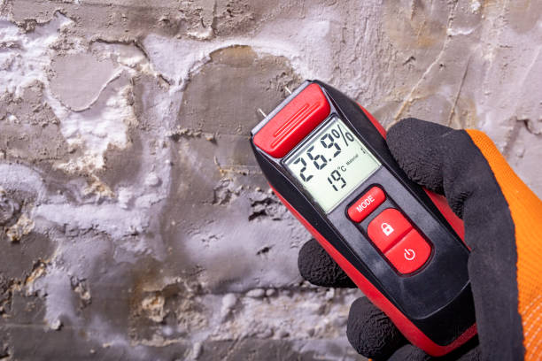 Professional Mold Removal in North Tustin, CA
