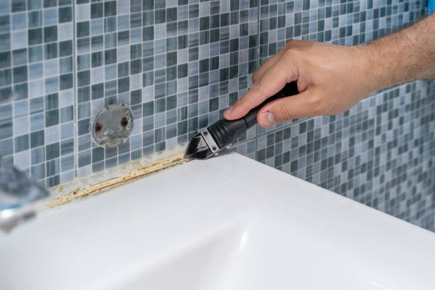 Best Mold Testing  in North Tustin, CA